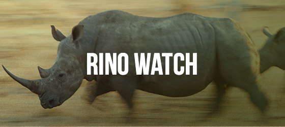 Rino Watch