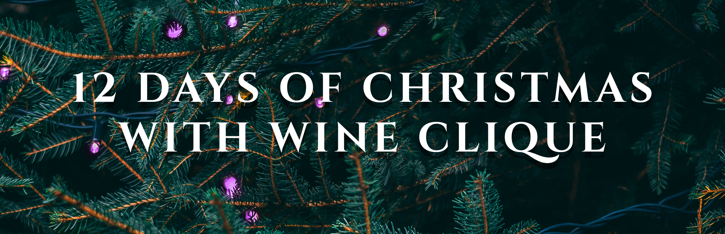 mailto:customerservice@wine-clique.com?subject=Wine Clique's 12 Days of Christmas | Day 2: Wine Pairing Sets