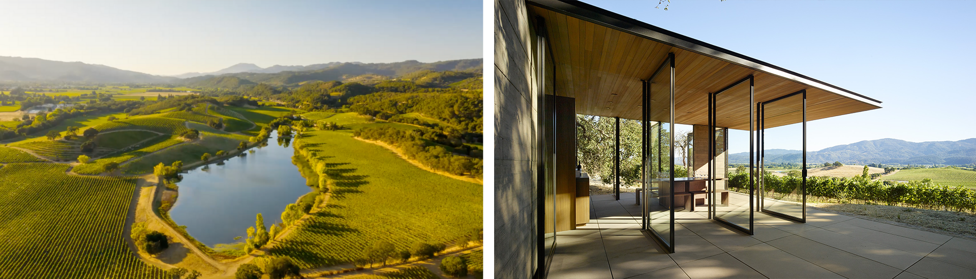 Re-cap: Virtual Wine Tasting with Quintessa