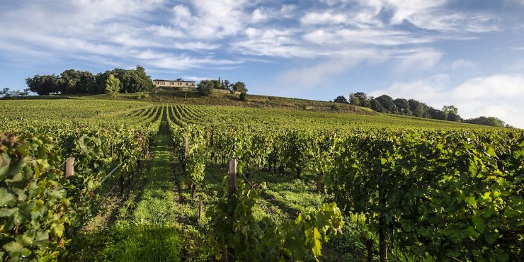 Under S$300: Bordeaux | 10 years on