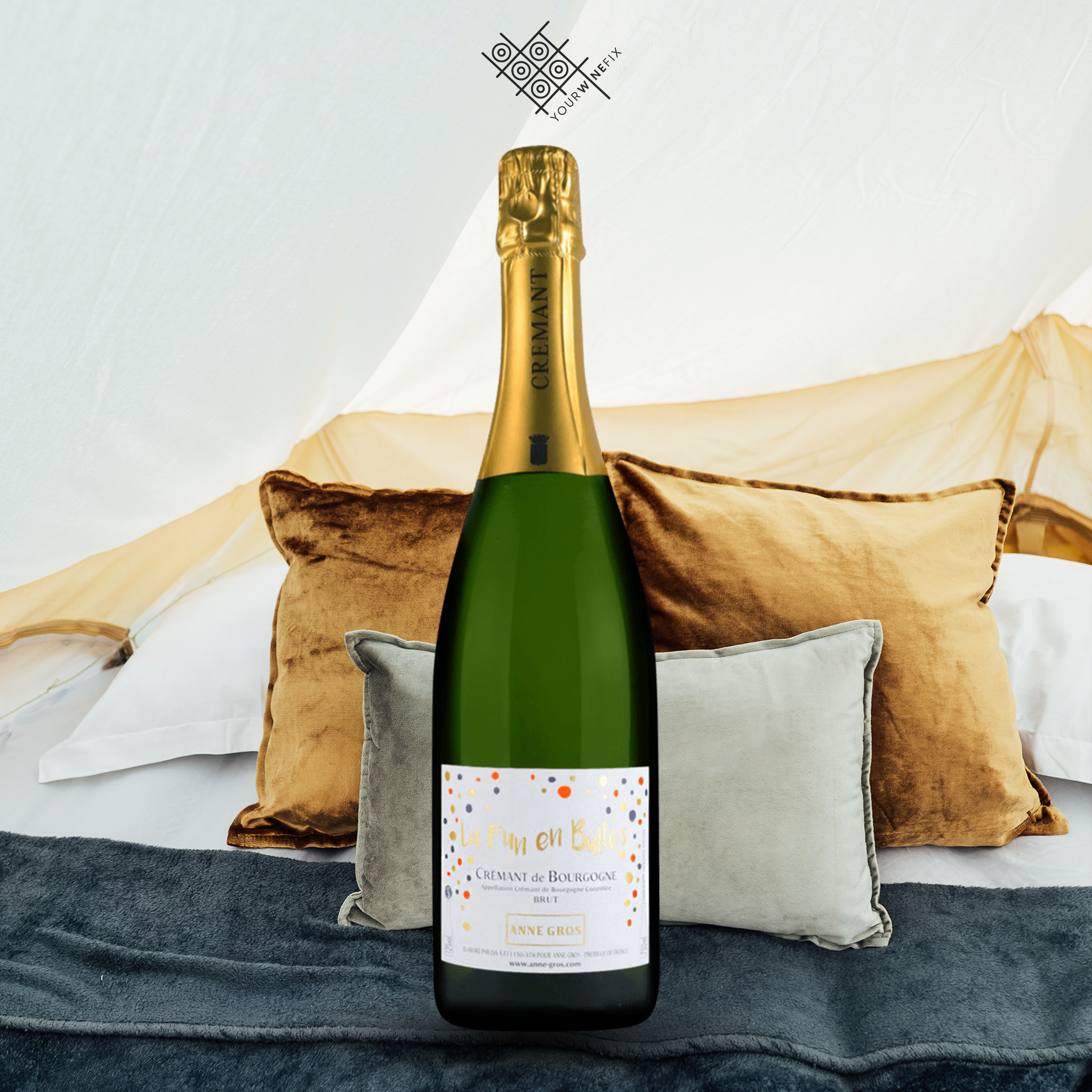 Your Wine Fix eNEWS: Anne Gros Brut BUY 6 FOR $294 