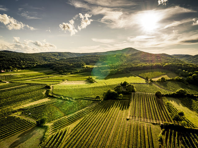 Re-cap: Virtual Wine Tasting with Rainer Wess