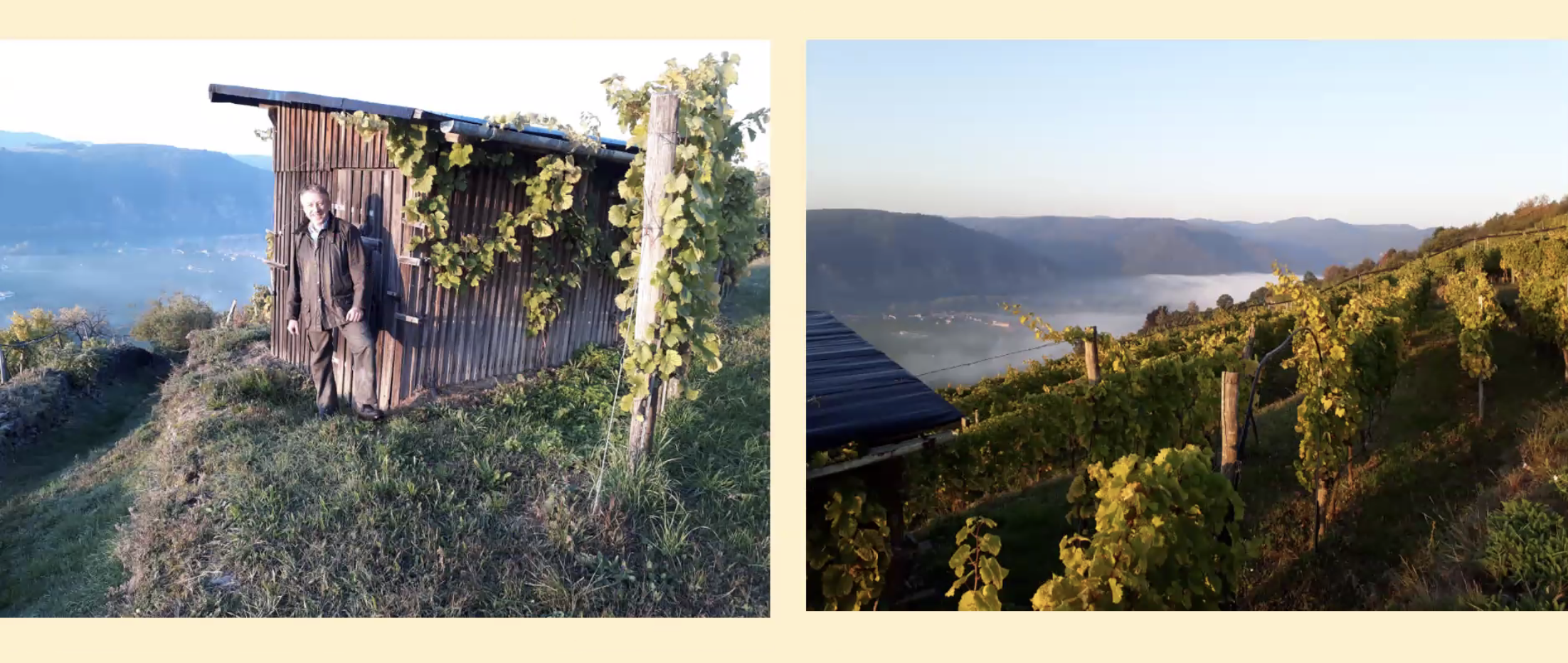 Re-cap: Virtual Wine Tasting with Rainer Wess