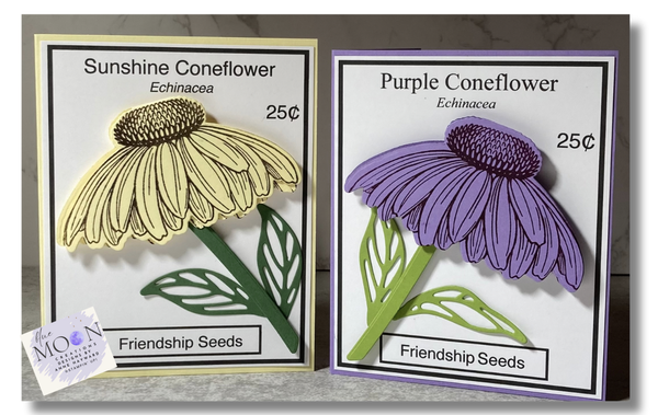 Coneflower Celebrations Friendship Seed Packets