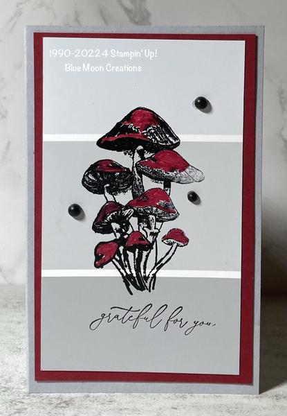 Paint Chip-Inspirational Sketches Mushrooms