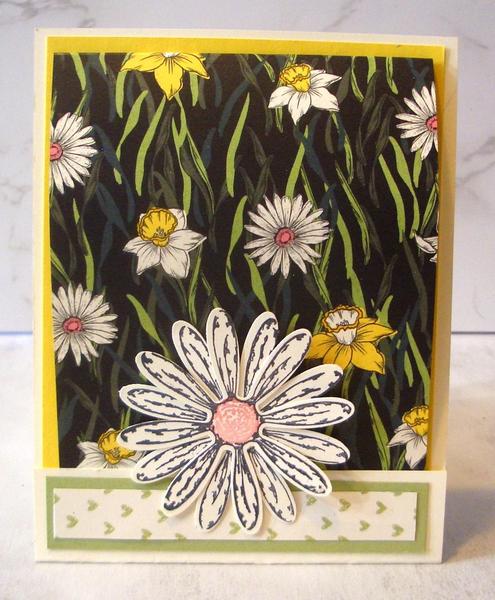 Daffodil Afternoon Matchbook Card