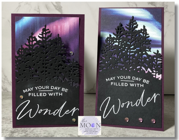 Aurora Lights Landscape