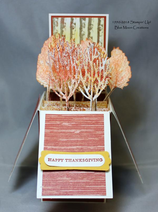 Winter Woods Card in a Box