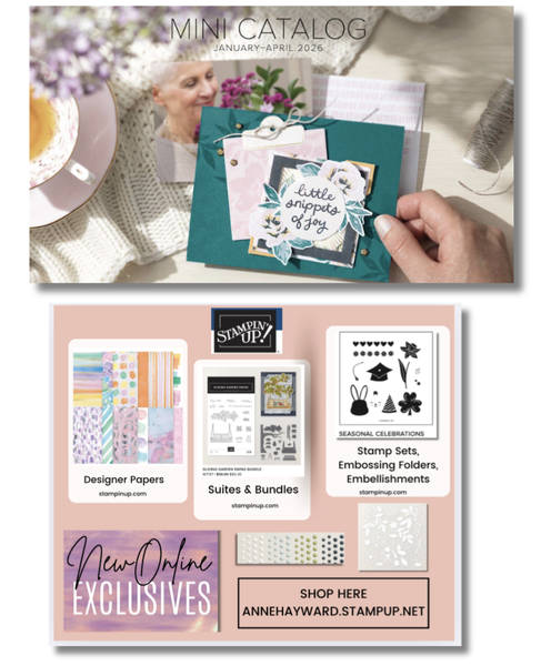 Mini Catalog and Online Exclusives