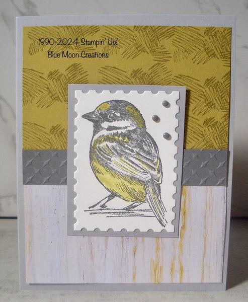 Inspirational Sketches Gold Crowned Sparrow