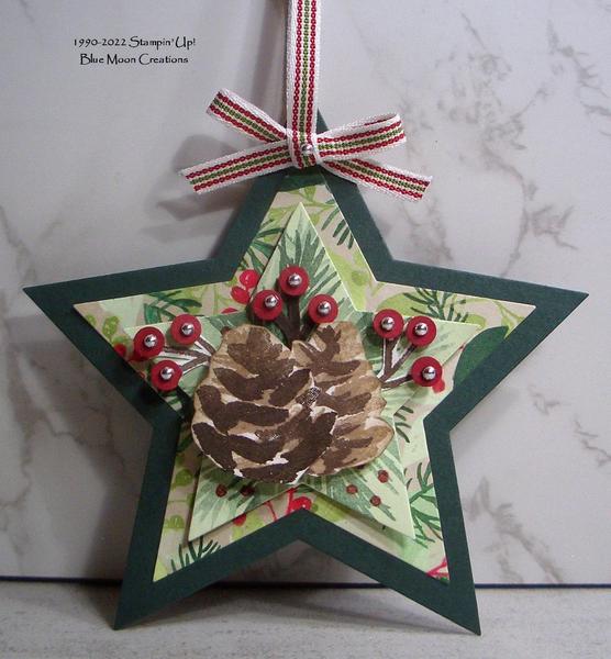 Painted Christmas Star Ornament