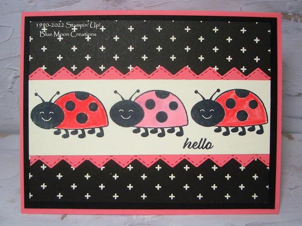Hello Ladybug Sketch Challenge