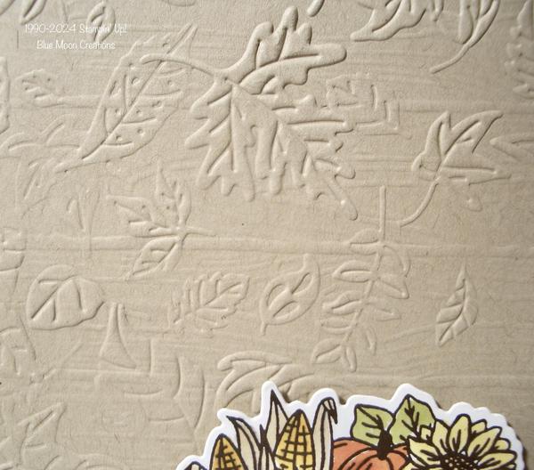 Double Dry Embossing Close Up