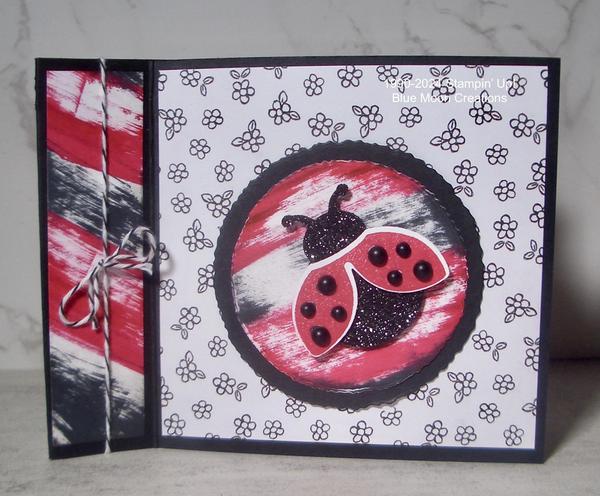 Hello Ladybug Book Binding Card