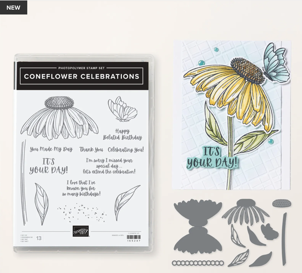 Coneflower Celebrations Bundle