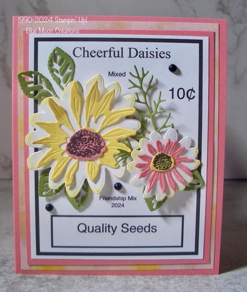 Friendship Seed Packet Daisies