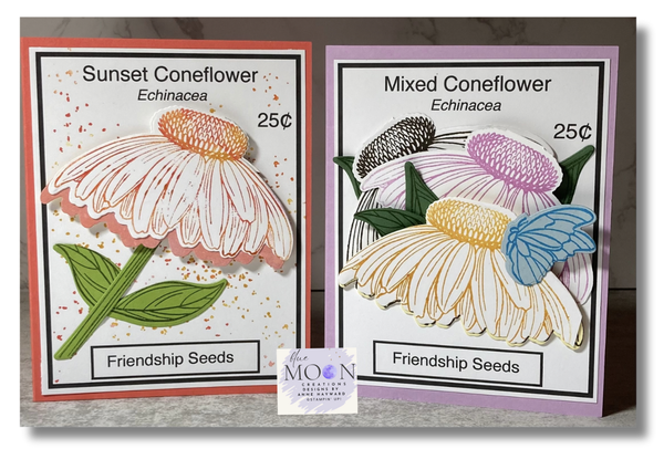 Coneflower Celebrations Friendship Seed Packets
