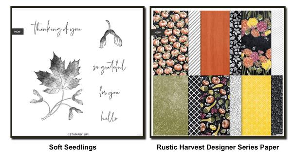 Soft Seedlings and Rustic Harvest