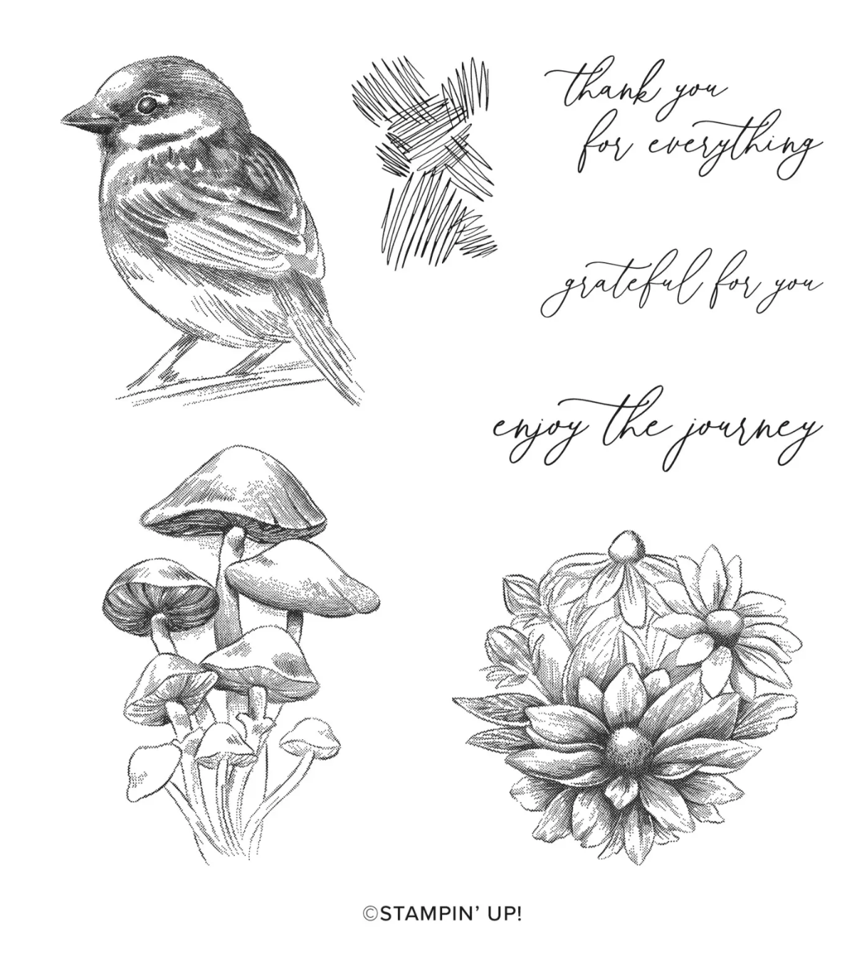 Inspirational Sketches
