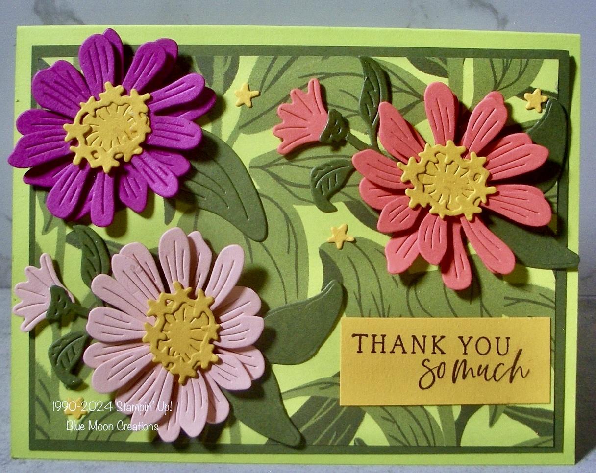 Colorful Zinnias