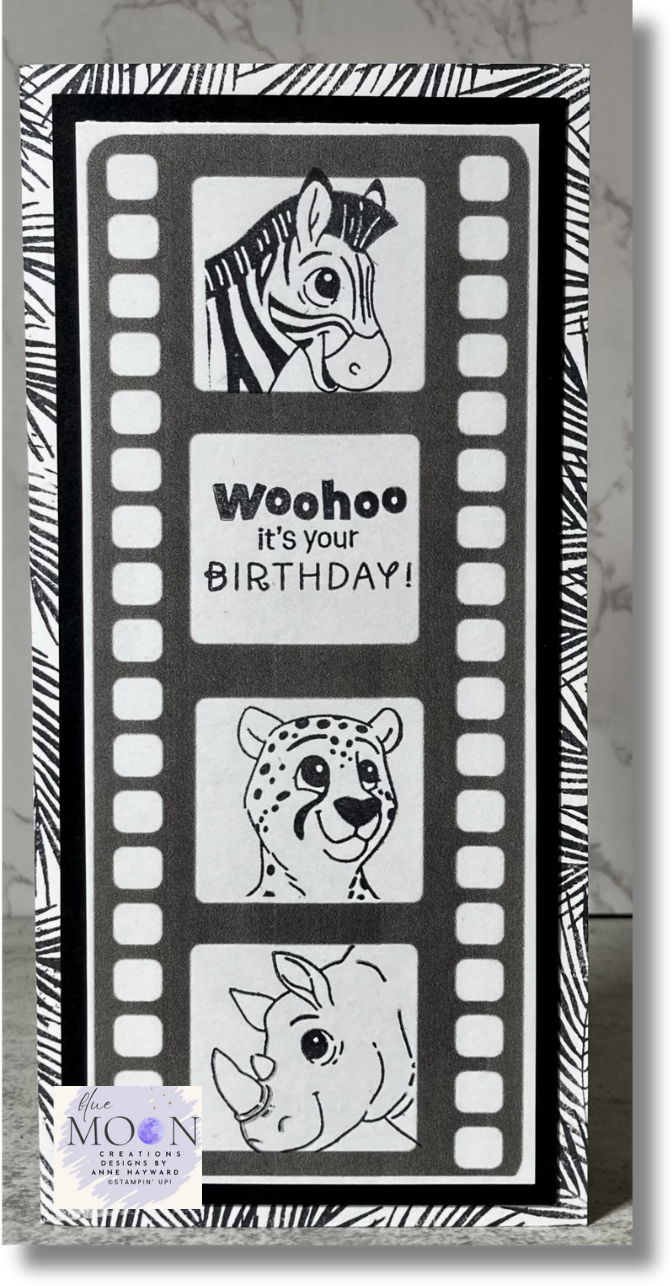 Silly Safari Faux Film Strip