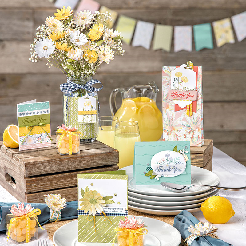 Anne Hayward Stampin' Up!