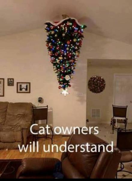Cat owners will understand
