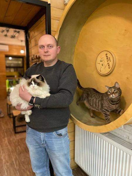 Ukrainian Cat Cafe Stays Open To Care For Its 20 Residents Even During The War