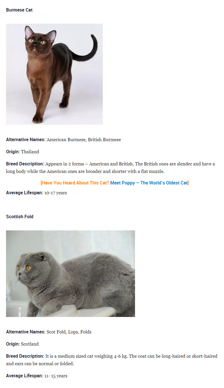 More Cat Breeds with Descriptions