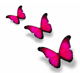 Butterflies and Relationships