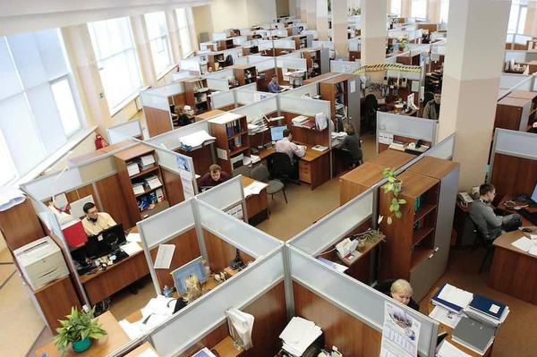 Dozens of employees at cubicles in the workplace