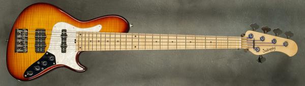 #8738 ’59 Burst Single Cut 5-24 Vintage