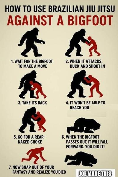 Bigfoot Brazilian Jiu Jitsu 