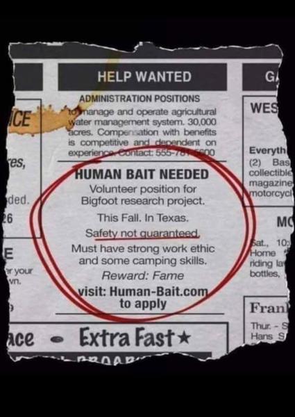 Human Bait classified ad