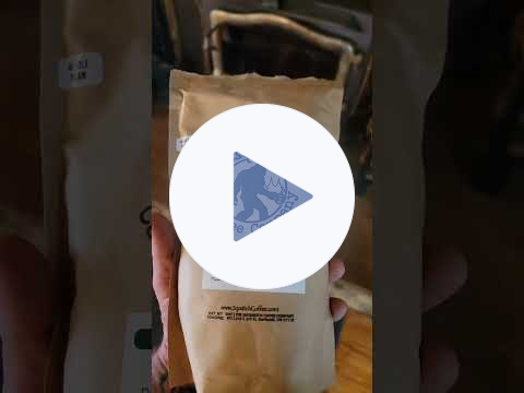 Jack Wildman-Did You Even Go Fishing? #motivation #mindset #success