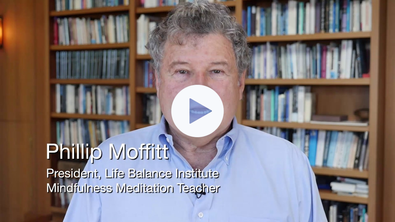 What is Mindfulness? - Phillip Moffitt