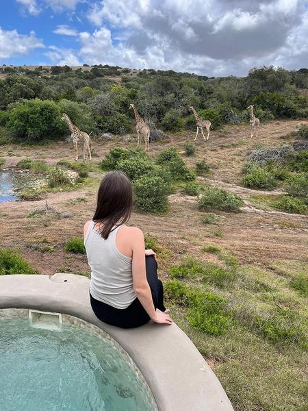 Watering hole a Safari Lodge