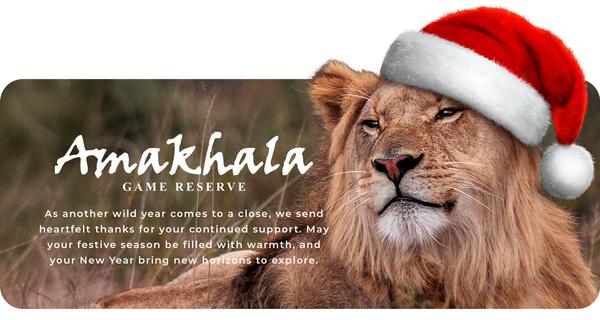 Christmas themed banner, lion wearing a christmas hat