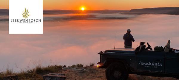 Game vehicle overlooking sunset