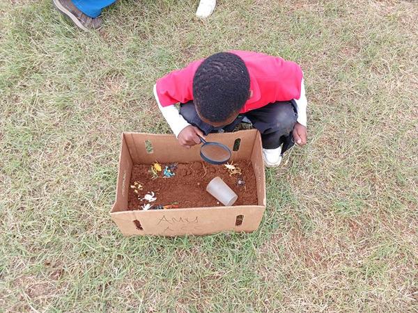 Young learners exploring the learning programme for World Environmental Day