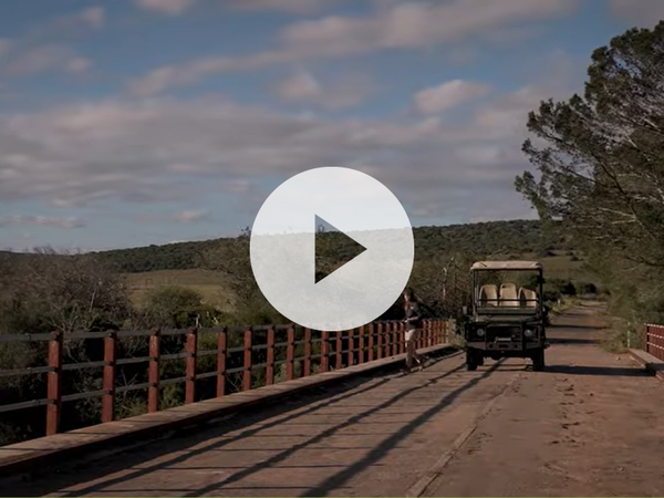 Video showcasing The corridor over the Bushman's River