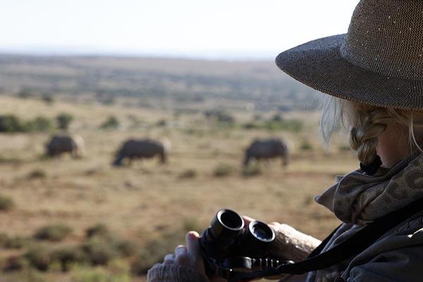 Observing World Rhino Day, woman overlooking Rhinos