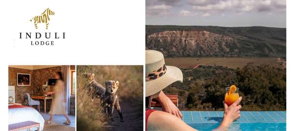 Collage of Induli lodge images