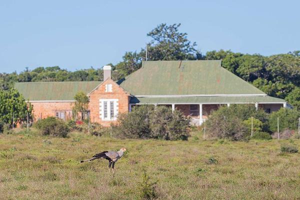 Bird in front of Woodbury Lodge