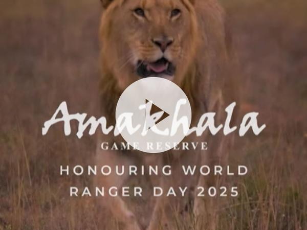 Video showcasing world ranger day