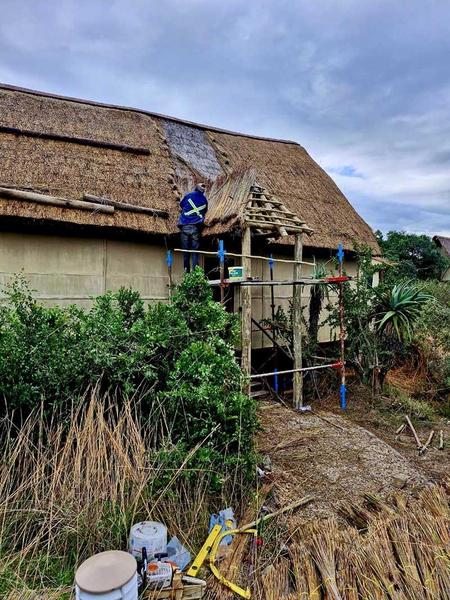 Renovations & thatching being done at Bush Lodge