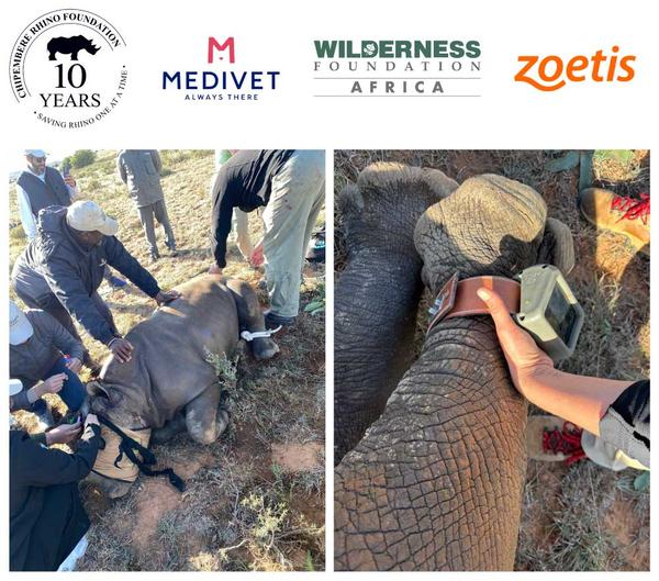 Rhino support logo's and tags on rhino legs