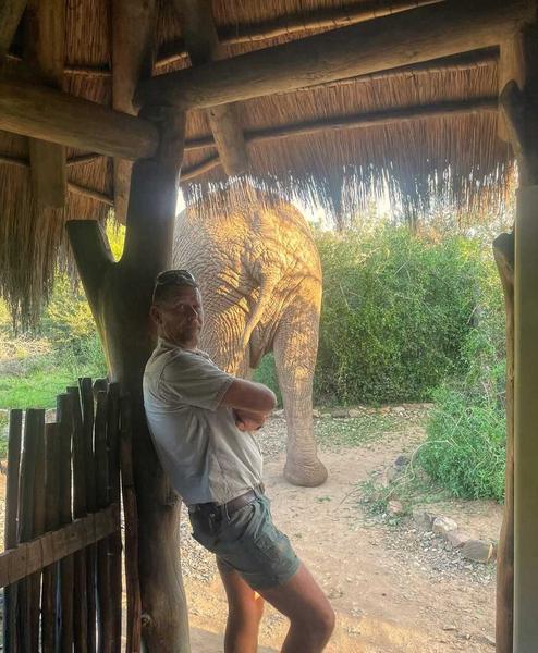 Man posing with elephant walking in background