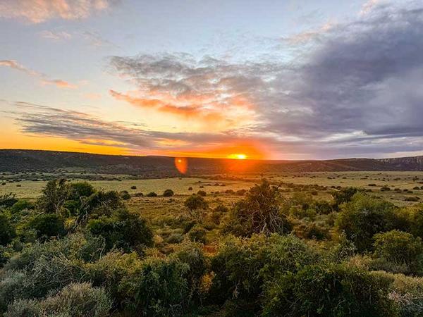 Sunrise over the reserve