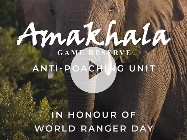 Video honouring World Ranger Day at Amakhala